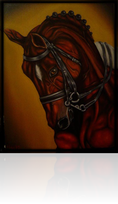 BELLAS ARTES PRESENTA AL ARTISTA DIEGO ZS